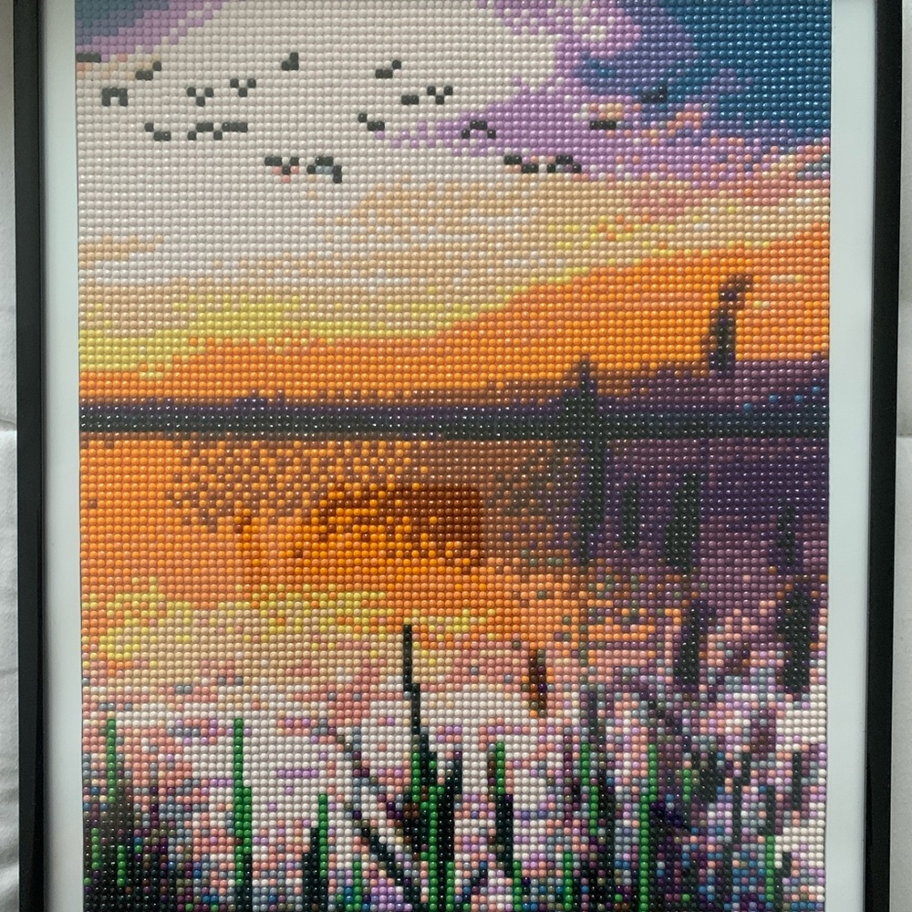 Framed Completed Diamond Painting
